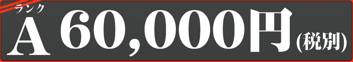 歌手の制作-料金-6万円コース